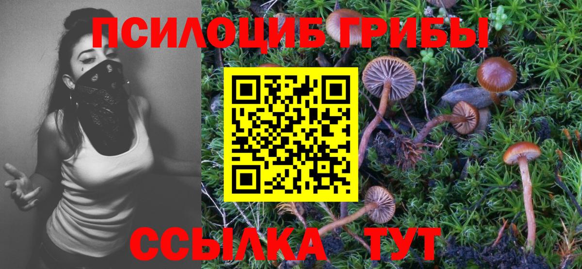 Ейск  Псилоцибиновые грибы ЛСД  Галлюциногенные грибы Psilocybine cubensis  Вход с VPN 